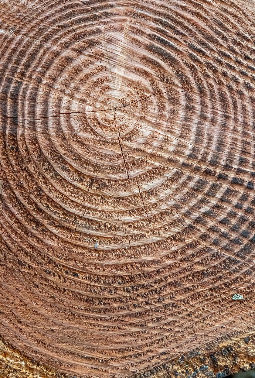 Remise-Eynattener-Muehle-2026-26